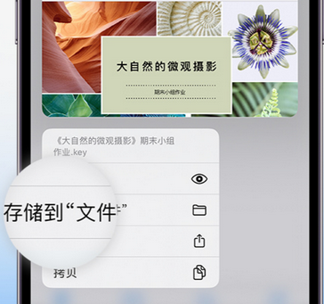 库伦apple维修中心分享iPhone文件应用中存储和找到下载文件