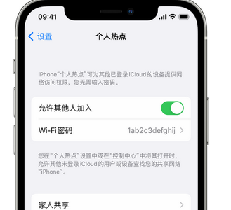 库伦apple服务站点分享iPhone上个人热点丢失了怎么办 