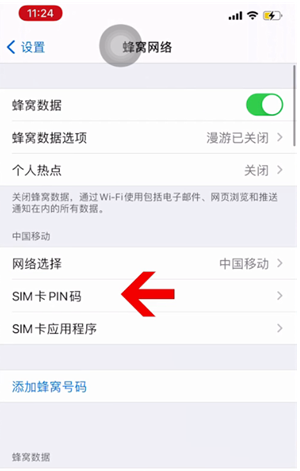 库伦苹果14维修网分享如何给iPhone14的SIM卡设置密码 