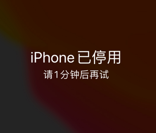 库伦苹果手机维修分享:iPhone 显示“不可用”或“已停用”怎么办？还能保留数据吗？ 