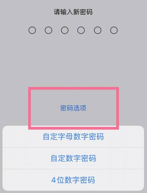 库伦苹果14维修分享iPhone 14plus设置密码的方法 