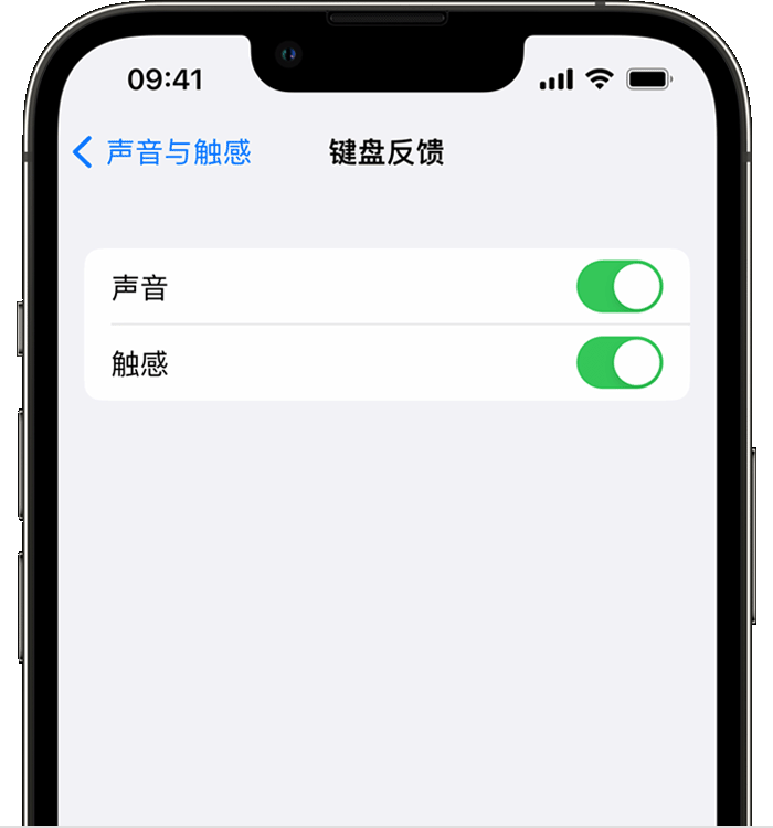 库伦苹果14维修分享iPhone 14 系列机型如何开启键盘声音或触感反馈 