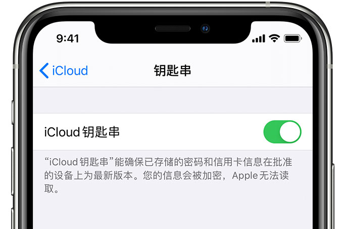 库伦苹果手机维修分享在 iPhone 上开启 iCloud 钥匙串之后会储存哪些信息 