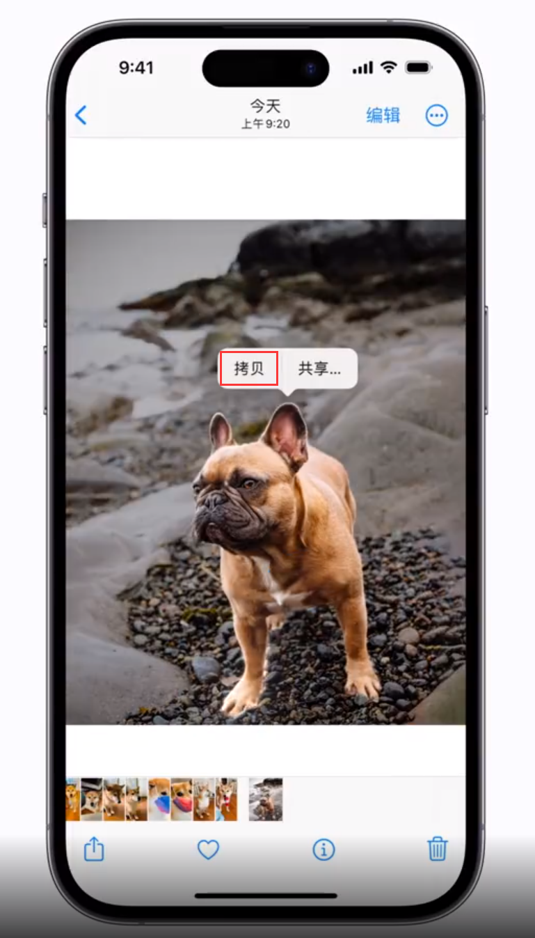 库伦苹果手机维修分享 iOS 16 自带一键抠图功能 