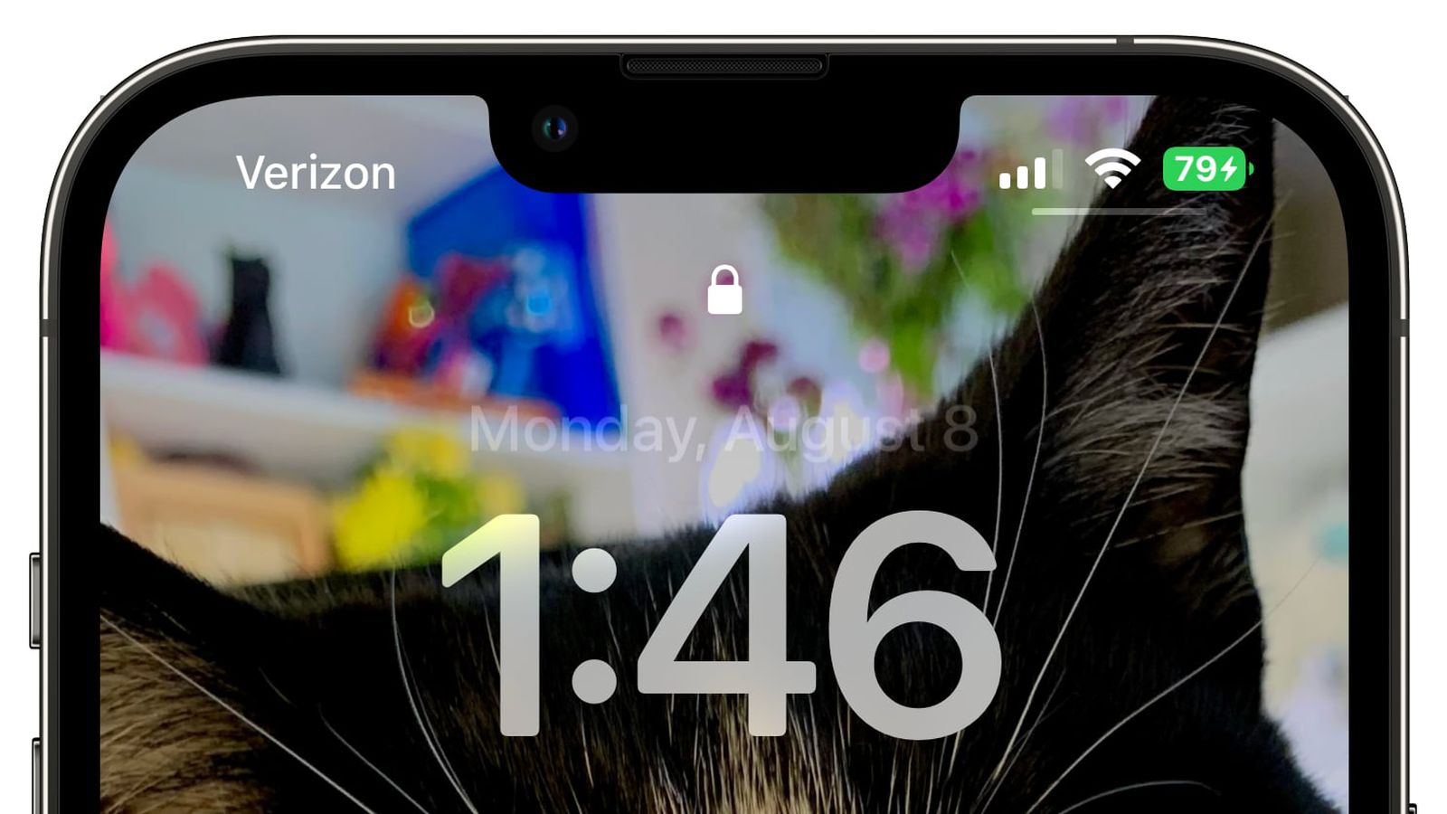 库伦苹果手机维修分享iOS 16 beta 5 支持状态栏显示电池百分比，如何开启？支持哪些机型 