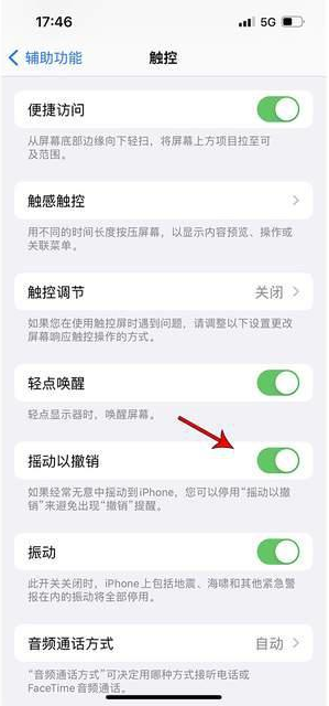 库伦苹果手机维修分享iPhone手机如何设置摇一摇删除文字 