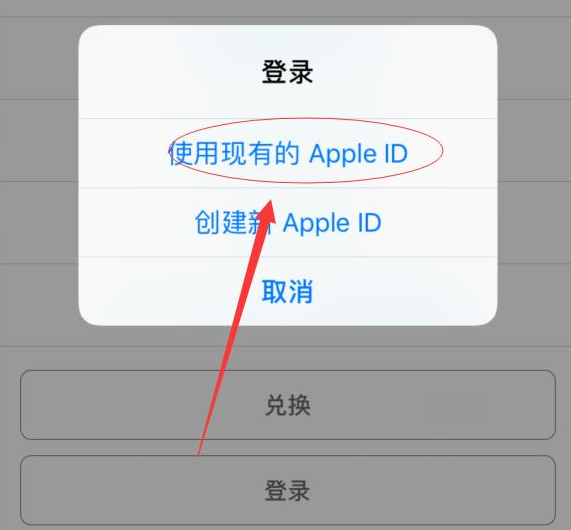 库伦苹果手机维修分享两台iPhone设备可以同时登录一个Apple ID吗 