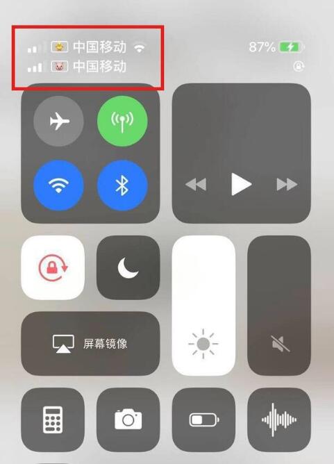 库伦苹果手机维修分享为 iPhone 12 双卡设置标签 